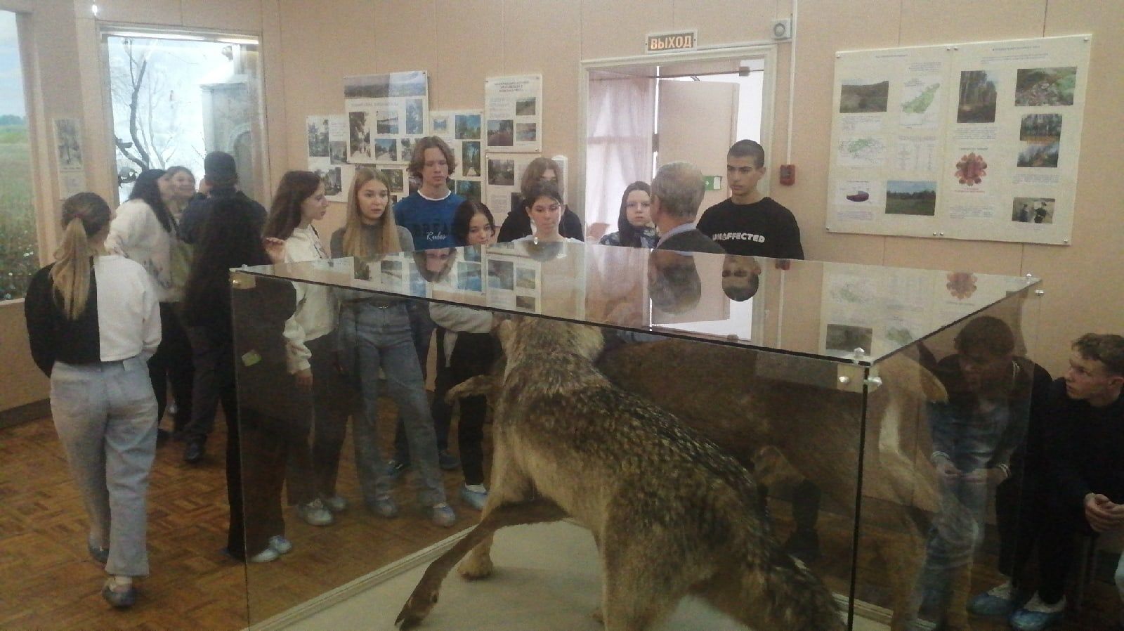 вольск исторический музей