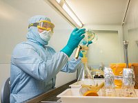 В Саратовской области ежегодно выпускают до 20 новых ветеринарных препаратов 