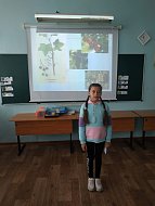 В шиханском детском лагере прошла викторина о полезных растениях