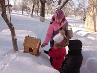 Доброе дело маленьких рук: в детском саду прошла экологическая акция «Покормите птиц зимой»