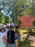Воспитание патриотизма: экскурсия для детей на Аллее ветеранов