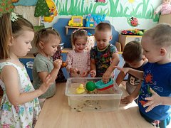 Интересные эксперименты в детском саду