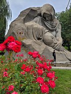 Школьная экскурсия: история и памятники Волгограда