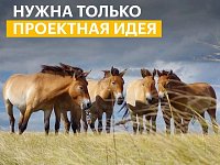 Саратовцев приглашают принять участие в конкурсе экологических и природоохранных проектов