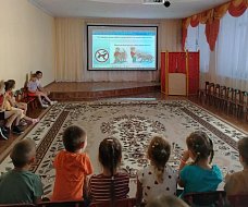 В детском саду «Звёздочка» поговорили о безопасности
