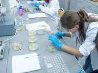 В Саратовской области планируется открыть 15 агротехнологических классов