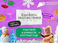 В поддержку нацпроекта "Экологическое благополучие" акция «БумБатл» запускает новогодний конкурс ёлочных игрушек