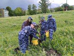 Сад памяти в школе пополнился новым саженцем яблони