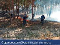Саратовская область входит в пятерку лидеров по оперативности тушения лесных пожаров