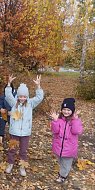 15 октября - День собирания осенних листьев