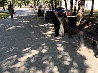 Чистый парк — это заслуга каждого из нас! 