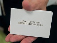 Более 27,9 тысячи многодетных семей региона получили удостоверения единого образца