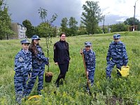 Сад памяти в школе пополнился новым саженцем яблони
