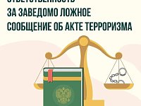 Важно знать: за заведомо ложные угрозы теракта предусмотрено наказание