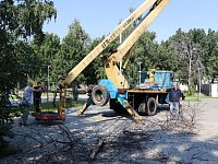 В парке «Я - Патриот» проведён комплекс работ по обеспечению безопасности и благоустройству территории