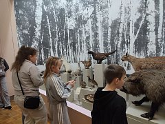 Ученики нашей школы побывали на экскурсии в Вольском музее