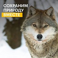 Саратовцев приглашают принять участие в конкурсе экологических и природоохранных проектов