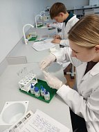 В школе узнали, кто лучший аналитик по химии