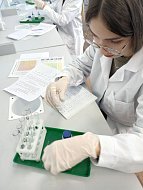 В школе узнали, кто лучший аналитик по химии