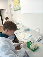 В школе узнали, кто лучший аналитик по химии