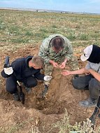 Поисковые отряды подвели итоги работы в 2025 году